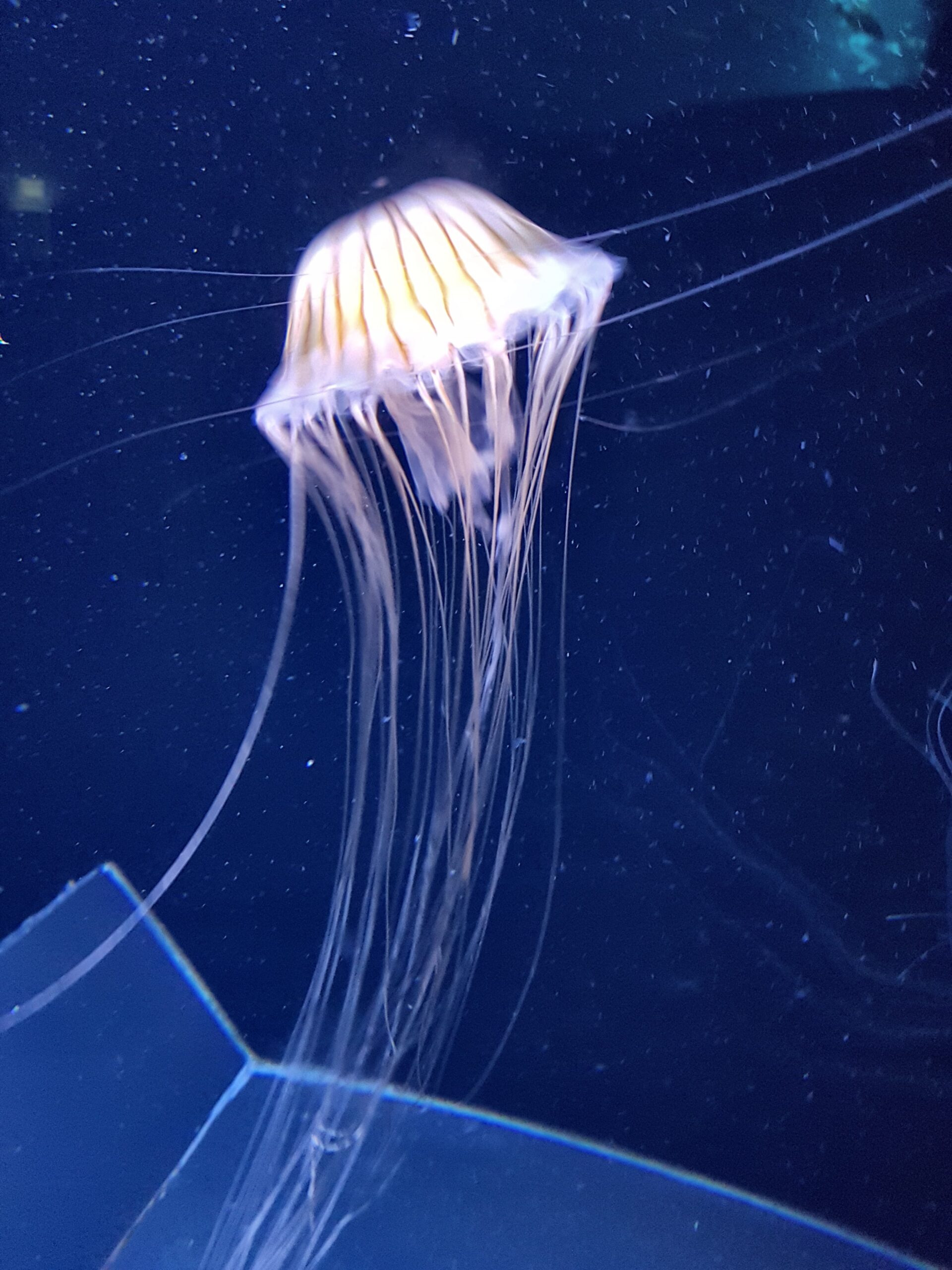 20190910_173521