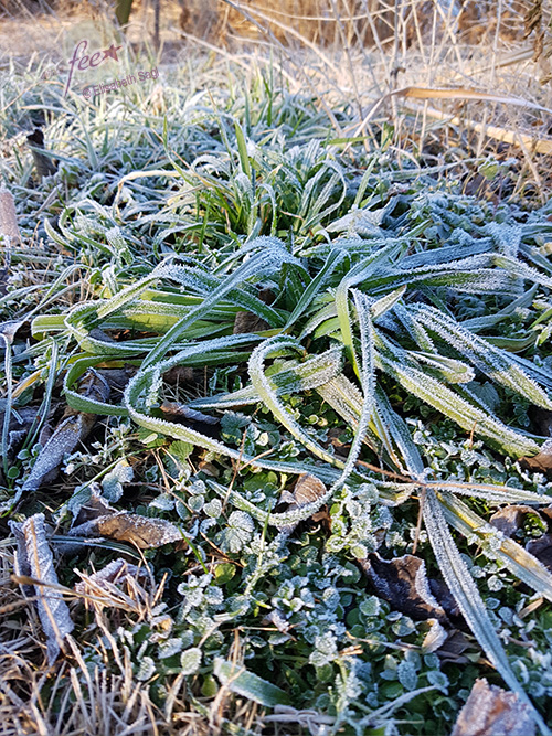 Landscapes006_hoch_©LisaSagl