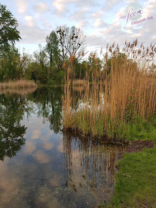 Landscapes007_hoch_©LisaSagl