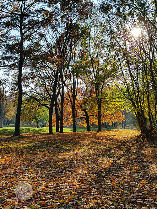 Landscapes009_hoch_©LisaSagl