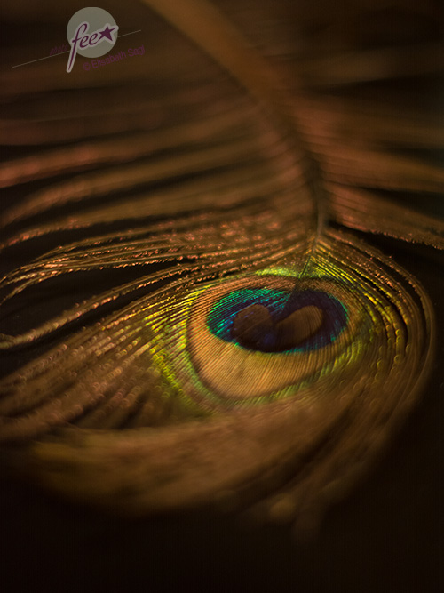 Stills002_hoch_©LisaSagl